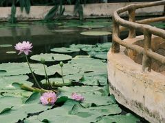 -国家植物园南园