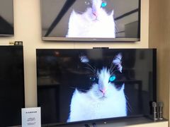 -华为授权体验店(新奥购物中心)