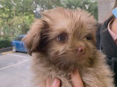 -XI·LaundryCafe 喜咖自助洗衣咖啡店