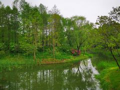 -尚贤河湿地