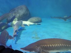 -多彩贵州城极地海洋世界