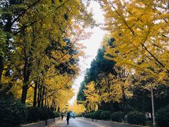 -陕西师范大学(雁塔校区)