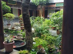 -中国观音故里广德景区