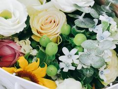 -花到家(富贵鸟花艺行)