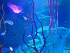 -沈阳海洋探索中心