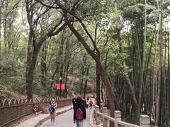 -灵岩山风景区
