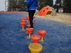 -铁山坪森林公园