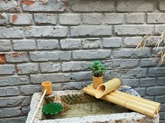 -桥岚·巷子鲜河豚鱼(专门店)