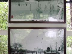 -浮庄