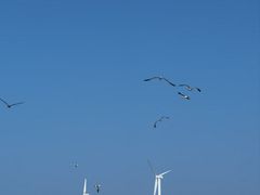 -那香海钻石沙滩浴场