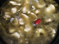 酸菜鱼-川哥辣妹(南岗店)