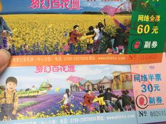 -松山湖梦幻百花洲