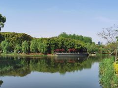 -九科绿洲