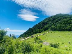 -白草畔自然风景区