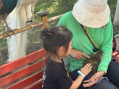 -水上乐园·欢乐世界