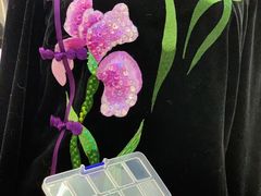 -MSV 高端礼服定制(大良店)