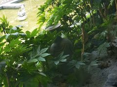 -老房子金沙元年川菜食府·花园餐厅(金沙店)