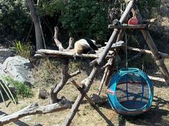 -宁波野生动物园