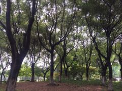 -昆山城市生态森林公园