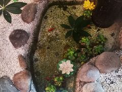 -繁·醉花亭小酒馆(鼓楼店)