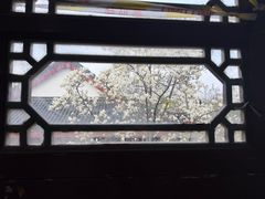 -堤角公园