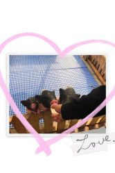 -萌宠亲子动物乐园(槐房万达店)