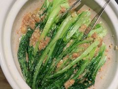-三强鸽子(中原路店)