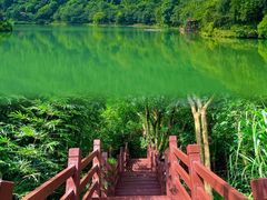 -广州白江湖森林公园