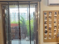 -楼上猫咖(罗湖店)