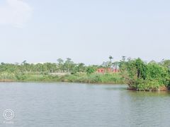 -芒洲湿地公园