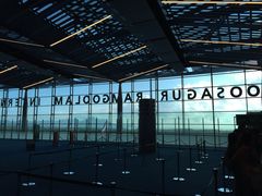 -西沃古尔·拉姆古兰爵士国际机场