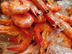 -怡聚轩全日制自助餐厅(大中华喜来登酒店)