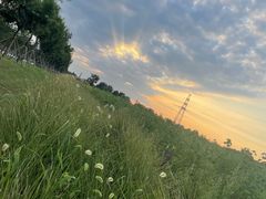 -汉长安城未央宫国家考古遗址公园