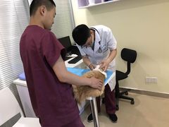 -美迦爱-牙专科·兔科·骨科诊疗中心(北苑店)