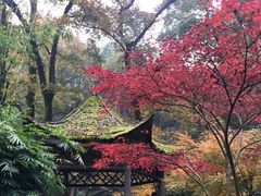 -岳麓山风景名胜区
