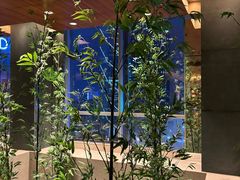 -广州富力君悦大酒店空中花园