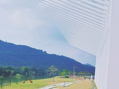 -风云岭森林公园