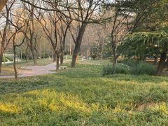 -济南南郊宾馆