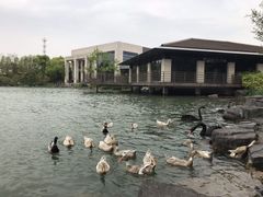 -上海怡沁园度假酒店