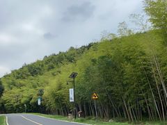-南京市无想山景区