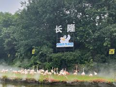 -广州长隆飞鸟乐园