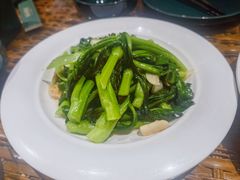 -老广酒楼(樱花店)