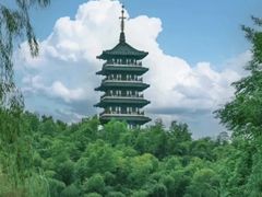 -宜兴龙背山森林公园