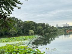 -承德避暑山庄景区