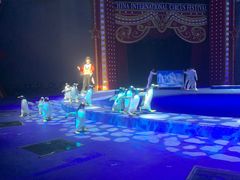 -珠海横琴长隆《卡卡虎奇遇记》