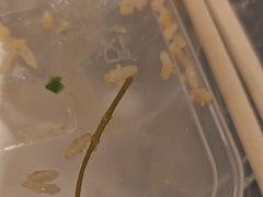 -煲煲掂风味煲仔饭餐厅(西区店)