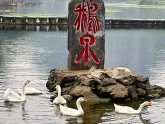 -靖西鹅泉风景区