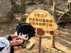 -虞山风景区