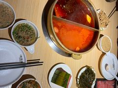 -东道煮牛肉火锅(东盛大街店)