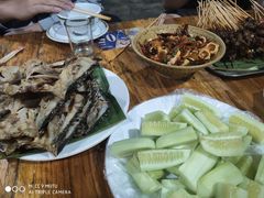 -杨合林啊兰烤鱼